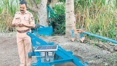 The system is based on the Animal Intrusion Detection and Repellent System (Anider) technology, a state-of-the-art solution designed to detect the presence of wildlife near farmlands and human habitations. (HT PHOTO) The system is based on the Animal Intrusion Detection and Repellent System (Anider) technology, a state-of-the-art solution designed to detect the presence of wildlife near farmlands and human habitations. (HT PHOTO)