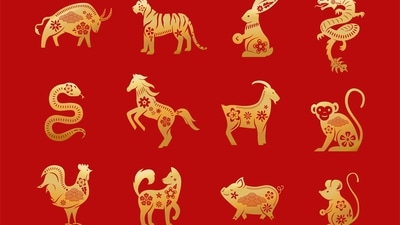 Read your weekly Chinese love horoscope based on your zodiac sign. (Freepik)
