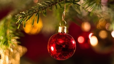 Bring home the winter warmth and cheer. (Pexels) Bring home the winter warmth and cheer. (Pexels)