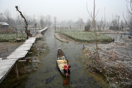 A woman rows her boat near a frost-covered area  on a cold winter morning in the interiors of Dal Lake Srinagar. (HT Photo)