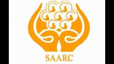 In terms of economic integration, Saarc set ambitious goals, such as the formation of a South Asian Economic Union In terms of economic integration, Saarc set ambitious goals, such as the formation of a South Asian Economic Union