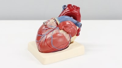 According to a recent study, many patients who undergo heart surgery won't have to take opioids as a pain medication after they get discharged from the hospital. (Unsplash) According to a recent study, many patients who undergo heart surgery won't have to take opioids as a pain medication after they get discharged from the hospital. (Unsplash)