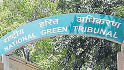 The National Green Tribunal in Delhi. (File) The National Green Tribunal in Delhi. (File)