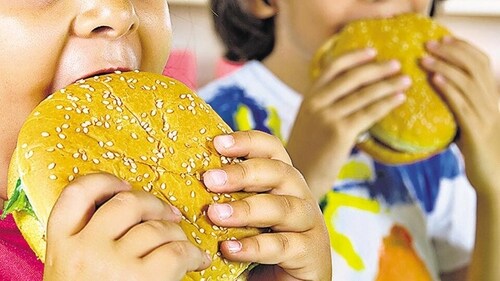 Most parents lose the battle when children are fussy about food and throw regular tantrums over their refusal to eat fruits and vegetables, and their demand for oily fast foods and sugared drinks. (HT FILE PHOTO) Most parents lose the battle when children are fussy about food and throw regular tantrums over their refusal to eat fruits and vegetables, and their demand for oily fast foods and sugared drinks. (HT FILE PHOTO)
