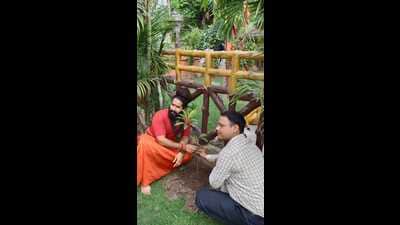 Mahant of Bade Hanuman Temple and Baghambari Gaddi Peethadheeshwar, Balveer Giri with a tree sapling (HT)  (HT Photo)
