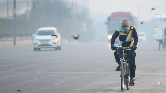 A foggy and cold morning view near Kalindi Kunj in Delhi. (Sunil Ghosh/Hindustan Times)