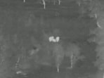 AI cameras in Odisha prevented a rail accident, saving three elephants near Rourkela. AI cameras in Odisha prevented a rail accident, saving three elephants near Rourkela.