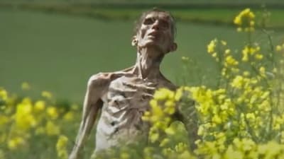 First potential look of Cillian Murphy in 28 Years Later. First potential look of Cillian Murphy in 28 Years Later.