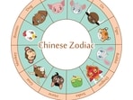 3 Chinese zodiac signs will likely receive financial luck from December 9-15, 2024.