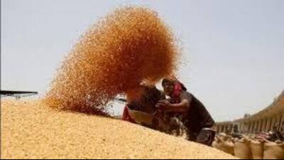 The policy aims at addressing long-standing challenges in agricultural marketing through a unified national approach. (HT File) The policy aims at addressing long-standing challenges in agricultural marketing through a unified national approach. (HT File)