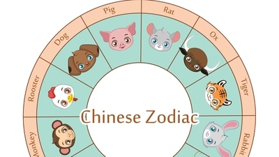 3 Chinese zodiac signs will likely receive financial luck from December 9-15, 2024. (Freepik)
