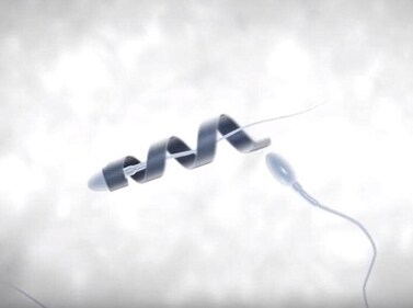 Scientists have developed motorised ‘spermbots’ by attaching tiny metal helices to sperm cells that can aid poor swimmers to reach an egg, an advance that could improve fertility treatments. (YouTube) Scientists have developed motorised ‘spermbots’ by attaching tiny metal helices to sperm cells that can aid poor swimmers to reach an egg, an advance that could improve fertility treatments. (YouTube)