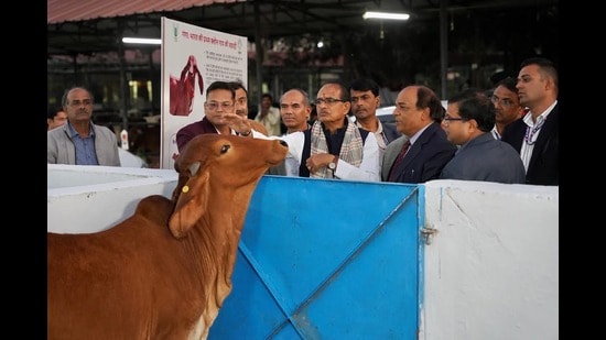 Shivraj Chouhan on his visit to National Dairy Research Institute in Karnal on Wednesday. (HT Photo)
