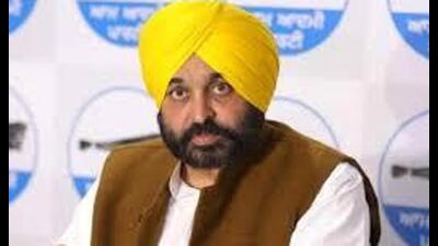 Punjab chief minister Bhagwant Mann. (HT File)