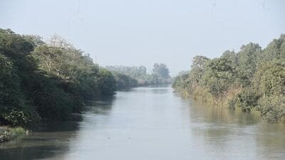 The project proposal stated that 112,000 trees and shrubs will be felled in the protected forest area of three forest divisions of Ghaziabad, Meerut and Muzaffarnagar. A road already exists on the right flank of the canal from Muradnagar to near Purkazi and the proposed road will come up on the left flank, said UP government officials. (Sakib Ali/HT Photo) The project proposal stated that 112,000 trees and shrubs will be felled in the protected forest area of three forest divisions of Ghaziabad, Meerut and Muzaffarnagar. A road already exists on the right flank of the canal from Muradnagar to near Purkazi and the proposed road will come up on the left flank, said UP government officials. (Sakib Ali/HT Photo)