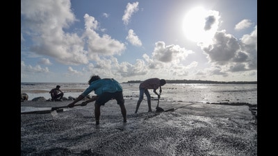 Throughout the novel, the untouchable’s labouring body is rendered as a site of brutal violence. (Ragul Krishnan/HT PHOTO) Throughout the novel, the untouchable’s labouring body is rendered as a site of brutal violence. (Ragul Krishnan/HT PHOTO)