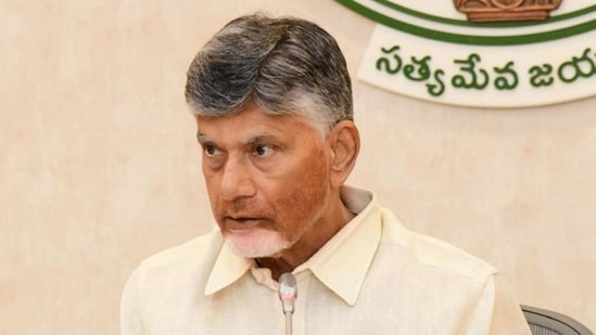Andhra Pradesh Chief Minister N. Chandrababu Naidu (PTI)