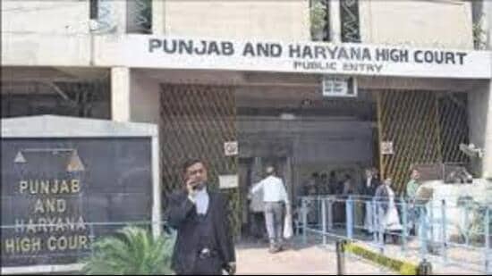 The bench, led by justice Harpreet Singh Brar, referred to this behaviour as a blatant abuse of the legal process, that must be addressed. (HT File)