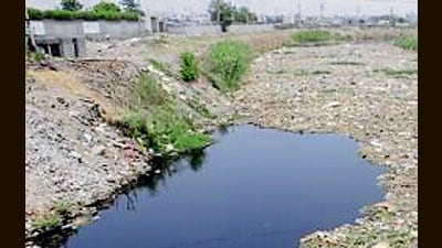 Activists allege that effluent treatment plants discharge approximately 105 million litres of toxic water into the Sutlej River via the Buddha Nullah. (HT File) Activists allege that effluent treatment plants discharge approximately 105 million litres of toxic water into the Sutlej River via the Buddha Nullah. (HT File)