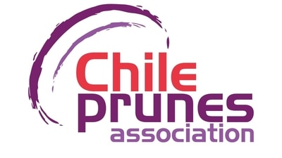 Chilean Prunes Association: A ray of hope to fight Osteoporosis