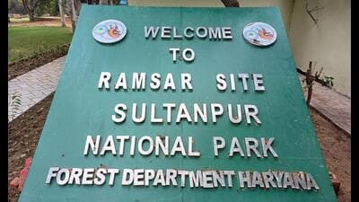 Construction and other non-forest activities are banned or restricted in a 5-kilometre radius around the Sultanpur National Park, which was designated a Ramsar site in 2023. This perimeter, is called the eco-sensitive zone (ESZ) and is considered as a buffer to protect the wetland and sanctuary. (FILE PHOTO) Construction and other non-forest activities are banned or restricted in a 5-kilometre radius around the Sultanpur National Park, which was designated a Ramsar site in 2023. This perimeter, is called the eco-sensitive zone (ESZ) and is considered as a buffer to protect the wetland and sanctuary. (FILE PHOTO)