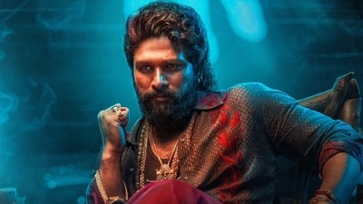 Fans react as Allu Arjun gets interim bail in Pushpa 2 The Rule stampede tragedy case.