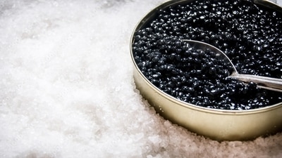 (Adobe Stock) (Adobe Stock)