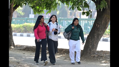 A group of friends enjoying a stroll amid the sunny weather in Chandigarh. (Ravi Kumar/HT) A group of friends enjoying a stroll amid the sunny weather in Chandigarh. (Ravi Kumar/HT)