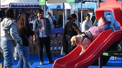 Pet parents with their pets during Pet Fed at NSIC Grounds on Saturday. (Vipin Kumar/HT Photo) Pet parents with their pets during Pet Fed at NSIC Grounds on Saturday. (Vipin Kumar/HT Photo)