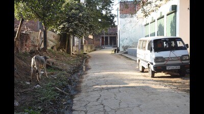 The empty lanes of Rehmankheda, where locals claim to have spotted a tiger recently, near Lucknow (Mushtaq Ali/HT) The empty lanes of Rehmankheda, where locals claim to have spotted a tiger recently, near Lucknow (Mushtaq Ali/HT)