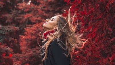 Winter woes: Understanding and managing seasonal hair fall (Photo by Pixabay) Winter woes: Understanding and managing seasonal hair fall (Photo by Pixabay)