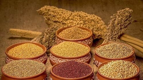 Millets like ragi and bajra, along with oats, quinoa, and brown rice, are ideal choices. (Pinterest) Millets like ragi and bajra, along with oats, quinoa, and brown rice, are ideal choices. (Pinterest)
