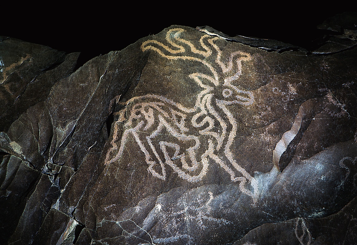 A petroglyph of a stag in Ladakh. (Image courtesy Ahtushi Deshpande / Speaking Stones : Rock Art of Ladakh) A petroglyph of a stag in Ladakh. (Image courtesy Ahtushi Deshpande / Speaking Stones : Rock Art of Ladakh)