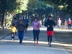 Morning walkers in a park at Sector 56, near Wazirabad, in Gurugram. (Parveen Kumar/HT Photo) Morning walkers in a park at Sector 56, near Wazirabad, in Gurugram. (Parveen Kumar/HT Photo)
