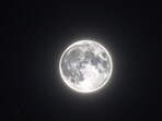 Cold Moon 2024: Cold moon is the last full moon of 2024.(Shutterstock)