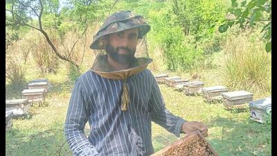 A progressive beekeeper at his farm in Bathinda. A progressive beekeeper at his farm in Bathinda.