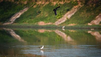 Satpula Lake at Khirki village in New Delhi on Sunday. (Sanchit Khanna/HT Photo) Satpula Lake at Khirki village in New Delhi on Sunday. (Sanchit Khanna/HT Photo)