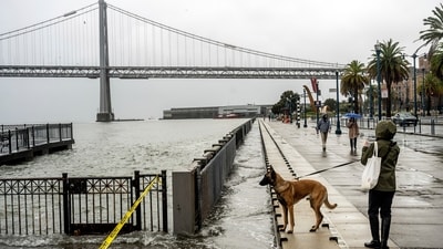 Water from the San Francisco Bay spills onto the Embarcadero in San Francisco on Saturday, Dec. 14, 2024, as a result of high tides and storm-driven waves. (AP/Noah Berger) Water from the San Francisco Bay spills onto the Embarcadero in San Francisco on Saturday, Dec. 14, 2024, as a result of high tides and storm-driven waves. (AP/Noah Berger)