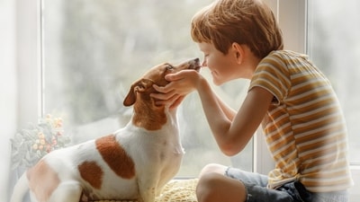 Weekly Love and Relationship Horoscope, 2024: Find out love predictions for December 16-22. (Shutterstock) Weekly Love and Relationship Horoscope, 2024: Find out love predictions for December 16-22. (Shutterstock)