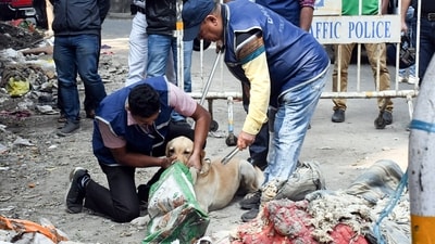 Police had recovered the woman's severed human head from garbage dump near Graham Road in Tollygunge area on Friday. (ANI) Police had recovered the woman's severed human head from garbage dump near Graham Road in Tollygunge area on Friday. (ANI)