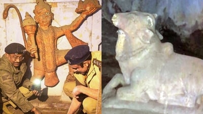 Officials found a Hanuman idol and a Shivling inside the 'ancient' Bhasma Shankar temple. (PTI/ANI)
