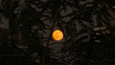 The Cold Moon in December is called by different names in various parts of the world. It is the longest full moon event in a lunar cycle. (X/@mansebanjaran) The Cold Moon in December is called by different names in various parts of the world. It is the longest full moon event in a lunar cycle. (X/@mansebanjaran)