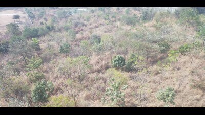 Refuting allegations that many trees inside the park are dying, Minal Kalaskar, deputy collector, said that all the trees are in good condition and that the administration is taking good care of them. (HT PHOTO) Refuting allegations that many trees inside the park are dying, Minal Kalaskar, deputy collector, said that all the trees are in good condition and that the administration is taking good care of them. (HT PHOTO)