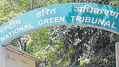 The NGT sought more details from DPCC on the environmental compensation imposed. (Representative photo)