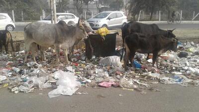 The authority has planned the facility in compliance with the Municipal Solid Waste Management Rules, 2016 and to meet the objectives of the Swachh Bharat Mission, which stresses on scientific waste disposal and recycling. (HT Photos) The authority has planned the facility in compliance with the Municipal Solid Waste Management Rules, 2016 and to meet the objectives of the Swachh Bharat Mission, which stresses on scientific waste disposal and recycling. (HT Photos)