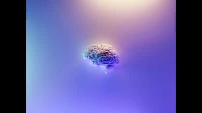 The brain atlas also represents a new model for innovation in India, where affordability and scalability are essential (Representative Image) (Unsplash) The brain atlas also represents a new model for innovation in India, where affordability and scalability are essential (Representative Image) (Unsplash)