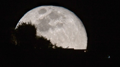 The Cold Moon, last full moon of 2024, rises over a tree in Caracas on December 15, 2024. (AFP) The Cold Moon, last full moon of 2024, rises over a tree in Caracas on December 15, 2024. (AFP)
