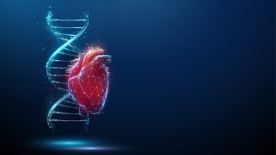 Cardiovascular diseases are on the rise due to air pollution. Cardiovascular diseases are on the rise due to air pollution.