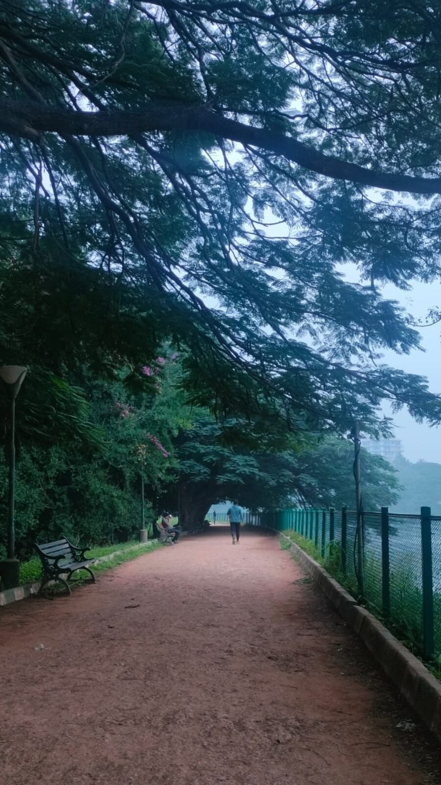 The unusually cold December weather has been attributed to recent persistent rains. (Anagha Deshpande_HT)