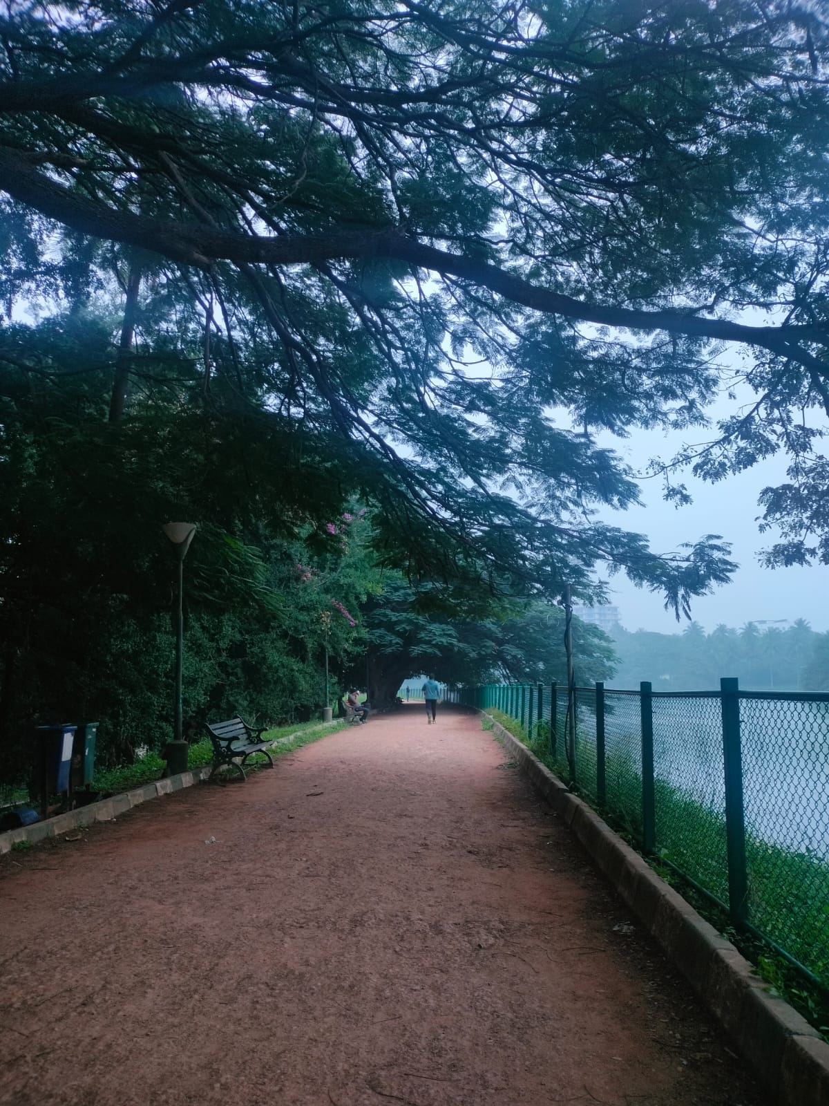 The unusually cold December weather has been attributed to recent persistent rains. (Anagha Deshpande_HT) The unusually cold December weather has been attributed to recent persistent rains. (Anagha Deshpande_HT)
